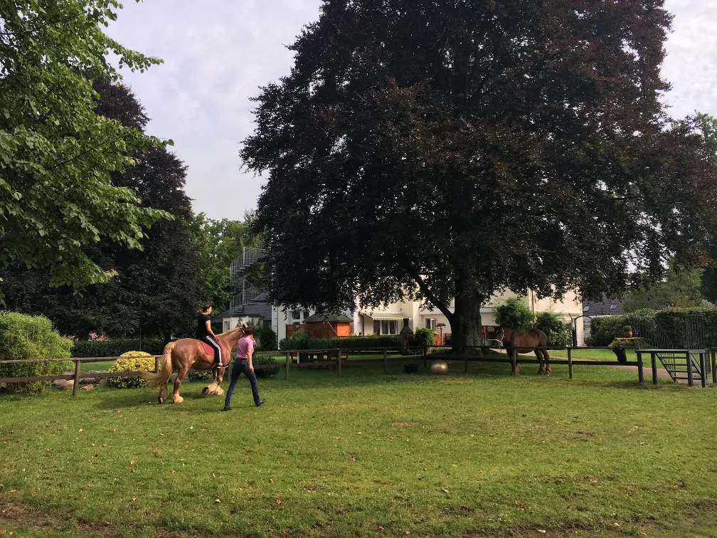Ruheplatz im Garten der Villa