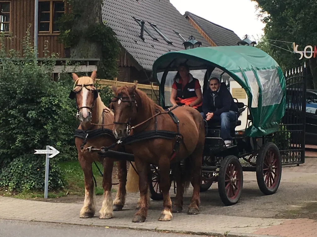 Stimmung beim Sommerfest